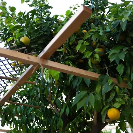 Laila's Cozy Garden House & Πανσιόν
